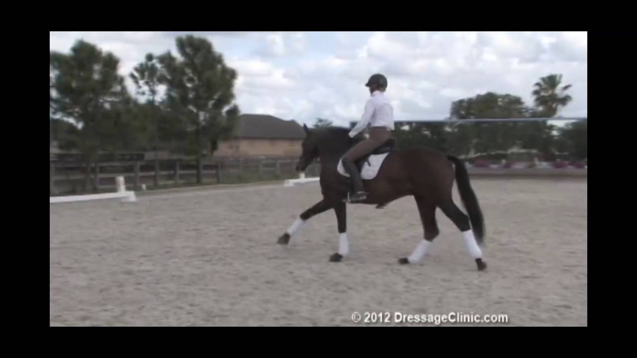 DressageClinic.com Presents Heather Blitz Riding & Lecturing Rip Line sample 8122012