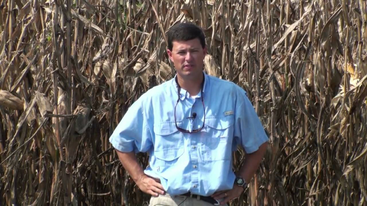 Part 1 - Corn populations and row configurations