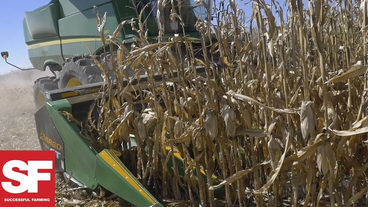 Советы по регулировке кукурузной жатки для предотвращения потери урожая | TOP SHOPS® | Успешное ф...