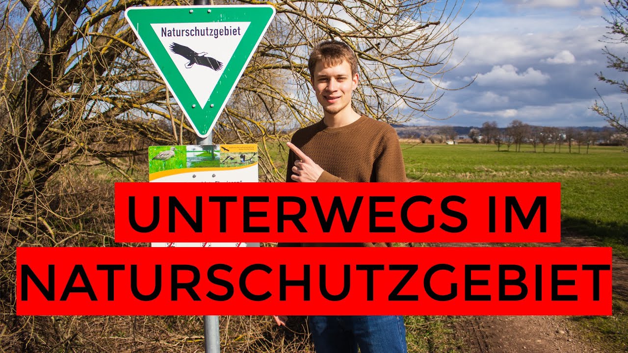 Vögel beobachten - VLOG Elzwiesen und Rheinauen