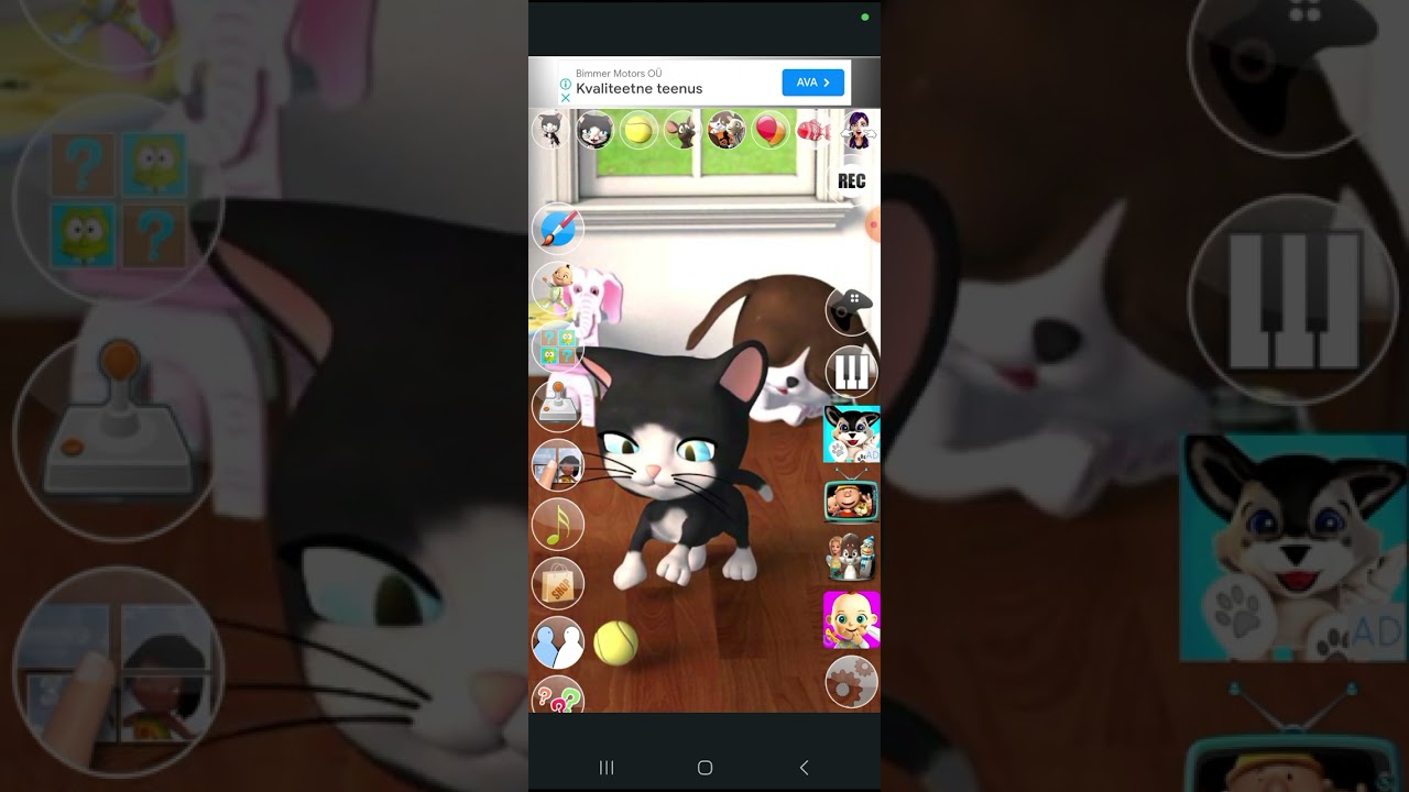 talking cat and background dog app for the iPhone iPad