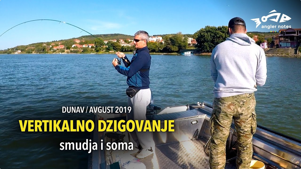 Vertikalno Dzigovanje Smudja i Soma na Dunavu / Vertical Jigging for Zander and Catfish at River