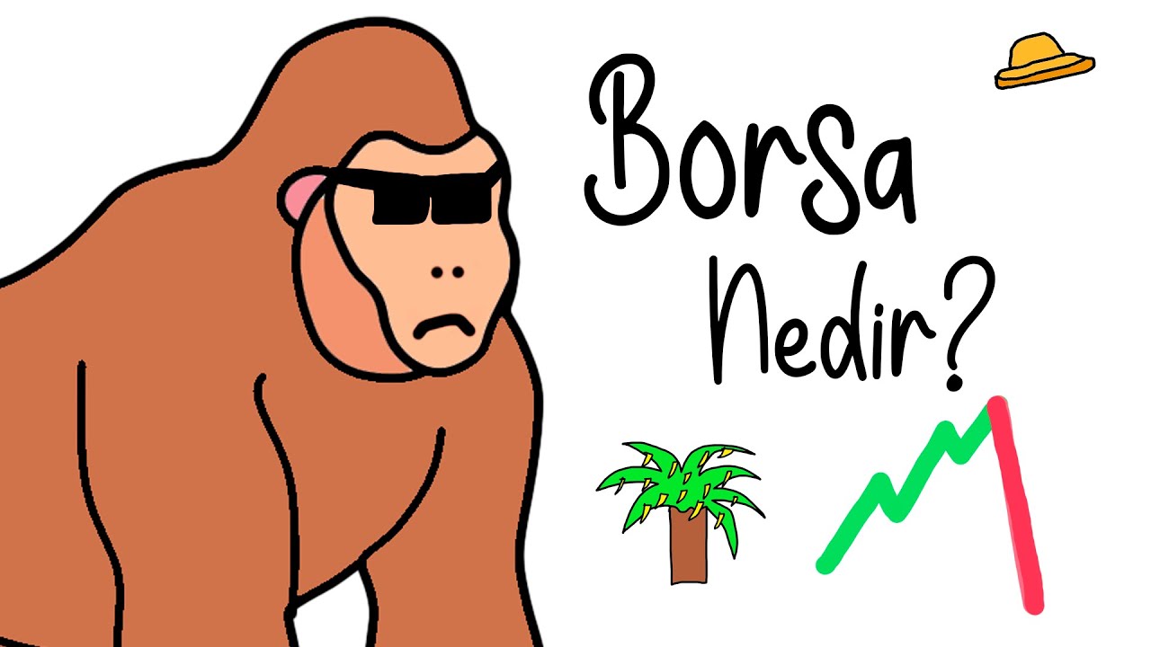 Maymunlar Anlatıyor : Borsa Nedir ?