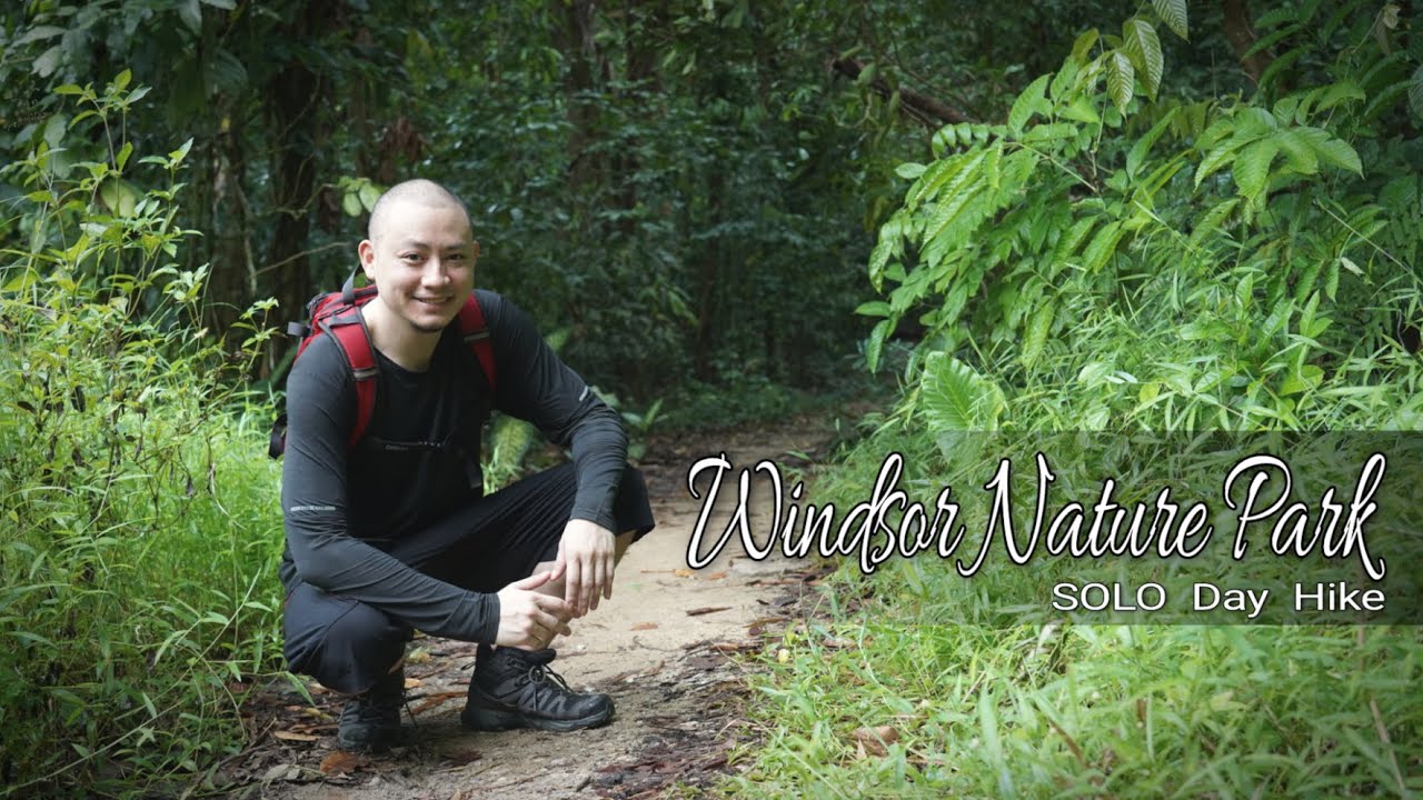 Windsor Nature Park / Day Hike / Singapore