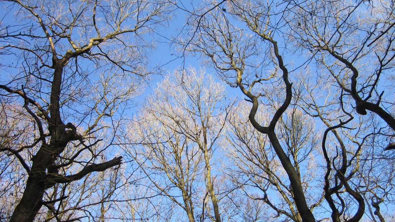 Chaddesley Corbett Country Walk Scenery - Worcestershire Walks - Tour England Walking Holidays UK
