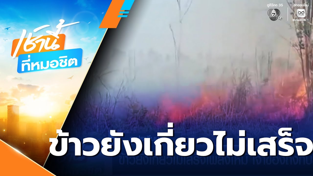 ข้าวยังเกี่ยวไม่เสร็จเพลิงไหม้ เจ้าของถึงกับลมจับ | เช้านี้ที่หมอชิต