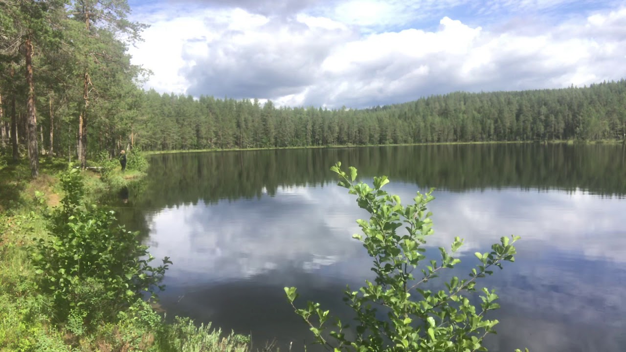 Kulning
