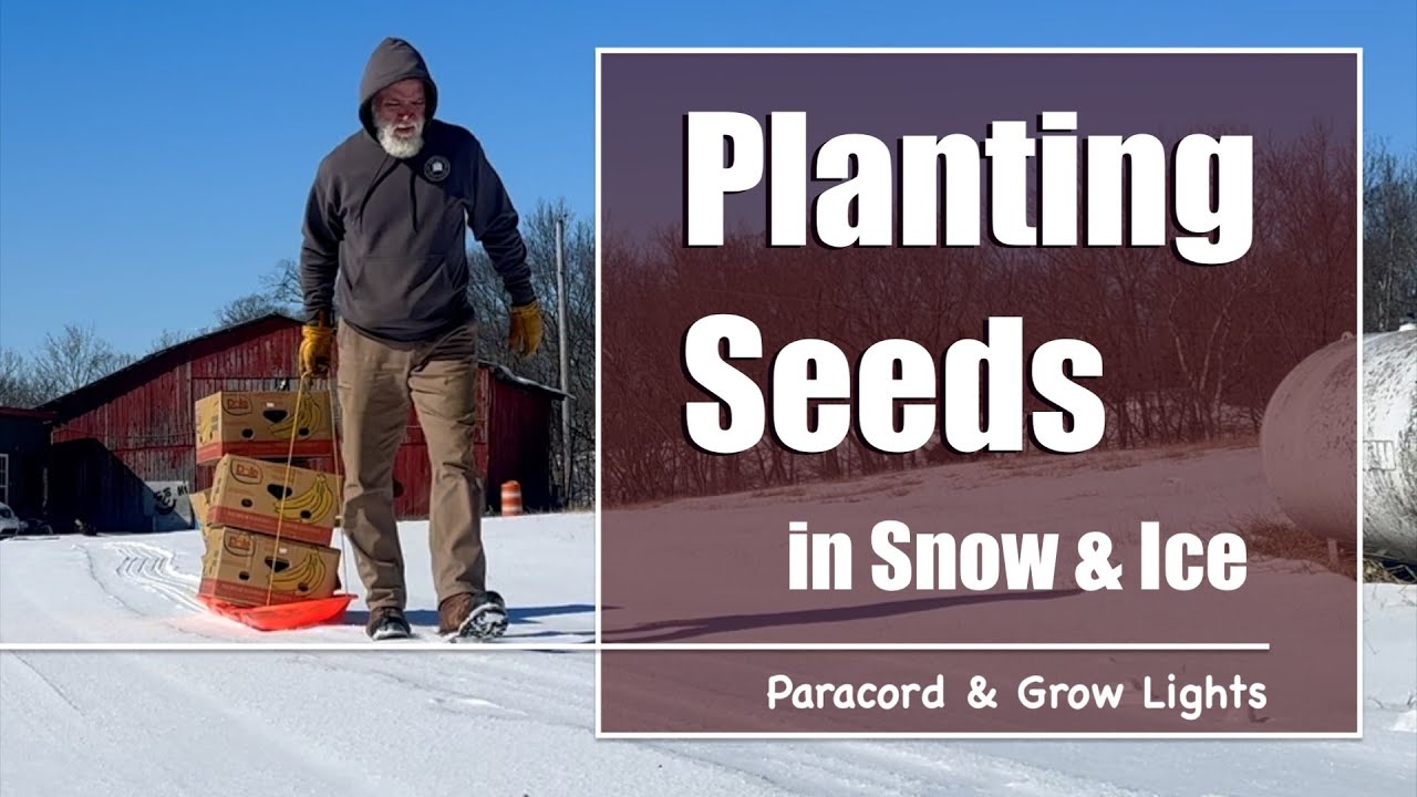 Planting the Garden in Snow & Ice