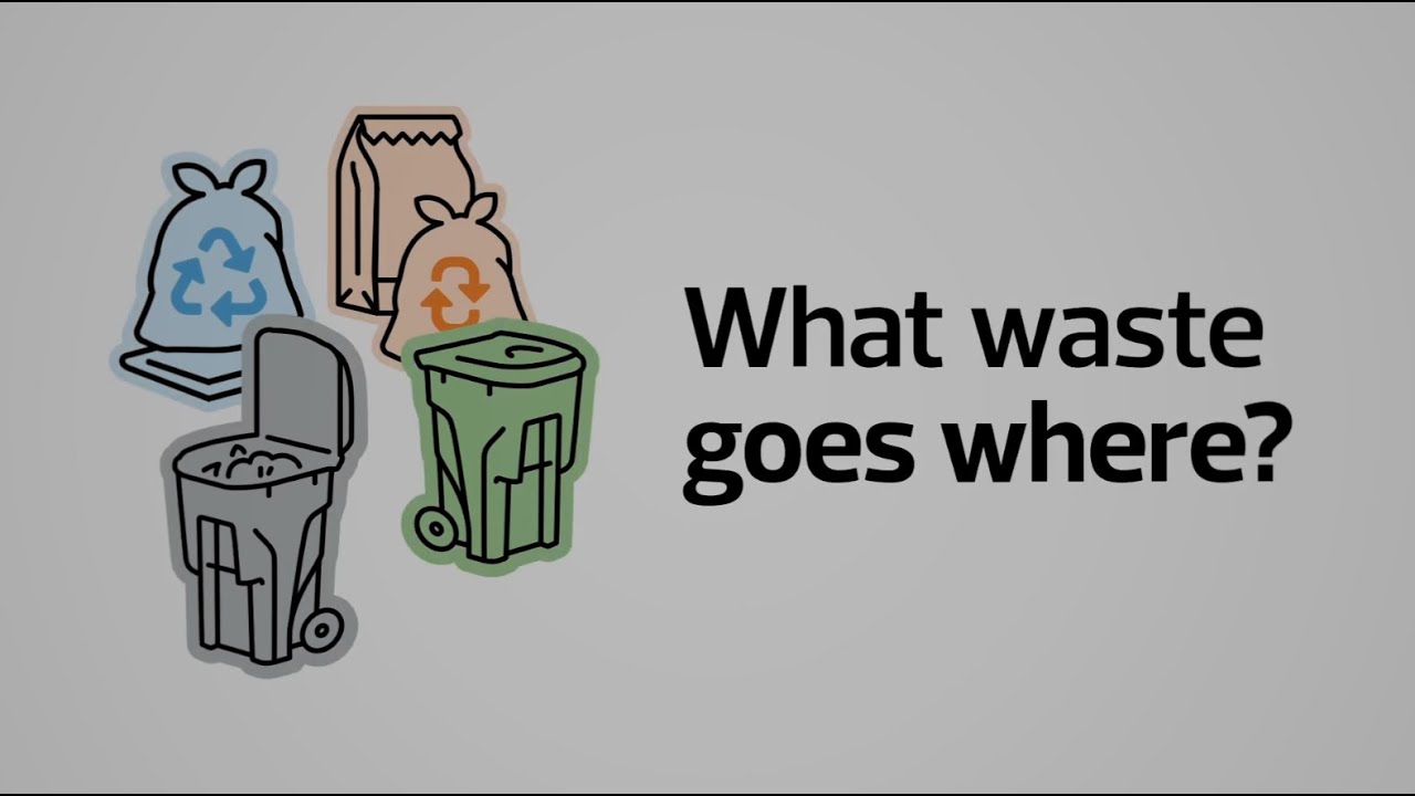 Waste Services | What Waste Goes Where?