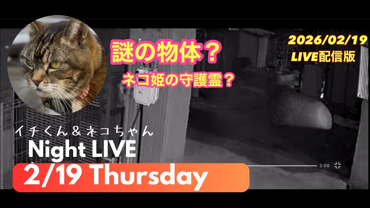今夜は5時30分から配信です【チワワのイチローネコ姫】 がライブ配信中！