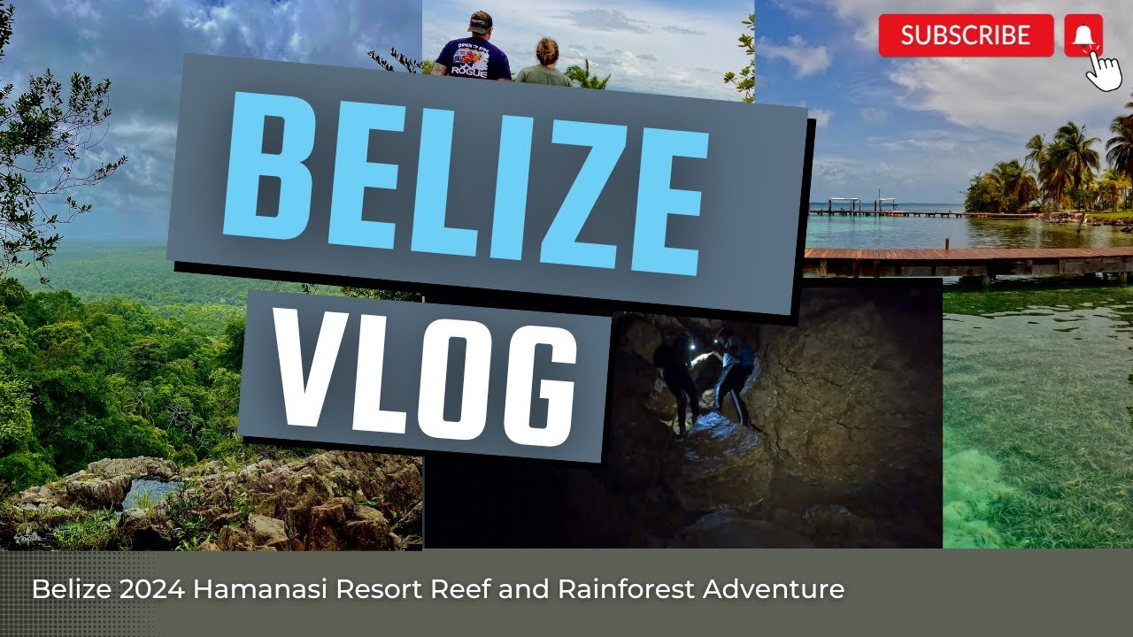 Our Trip To Belize 2024 Hamanasi Reef and Rainforest Adventures