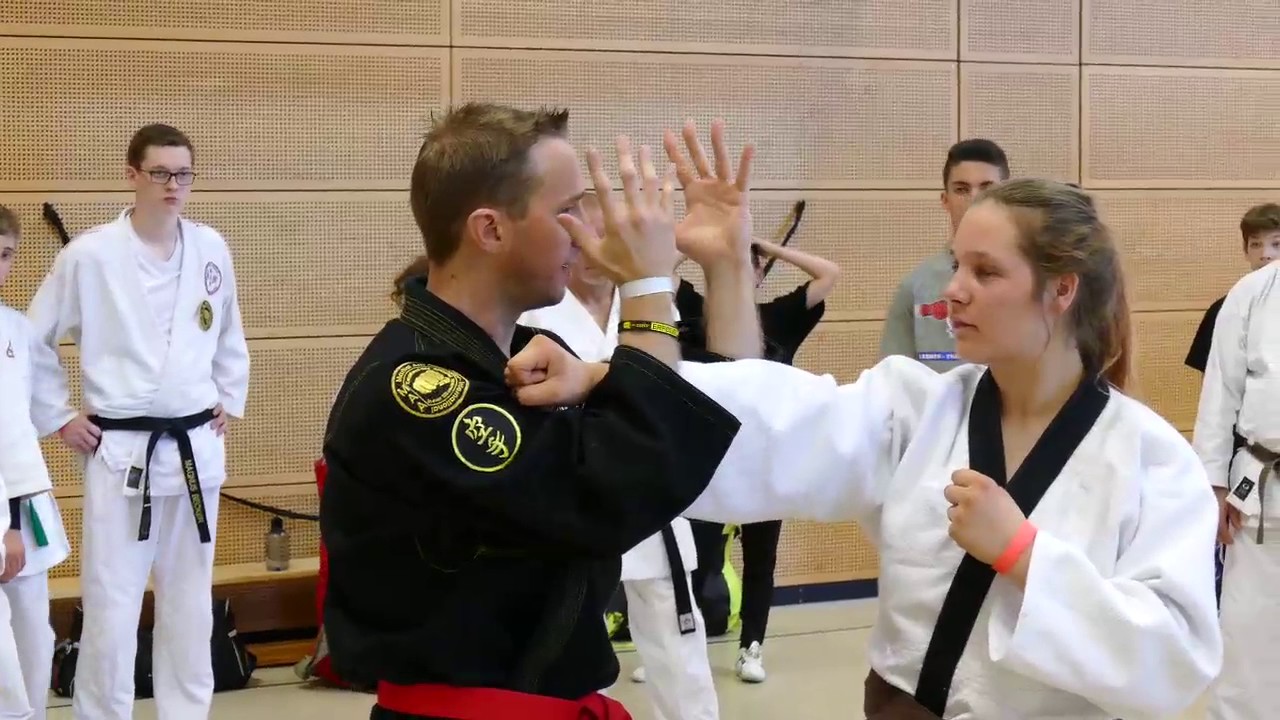 Martial Art Day 2017 - Sensei CYRIL GUENET Seminar