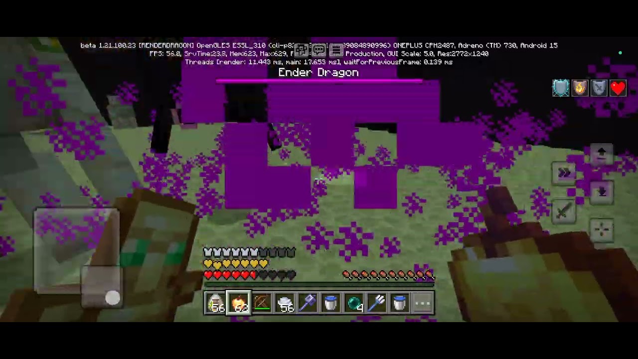 Part 2 Ender Dragon Beat & Water Clutch 