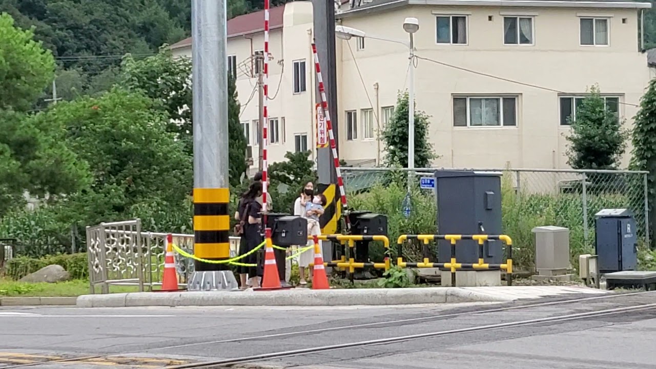 태백 기차건널목 주간 무궁화호