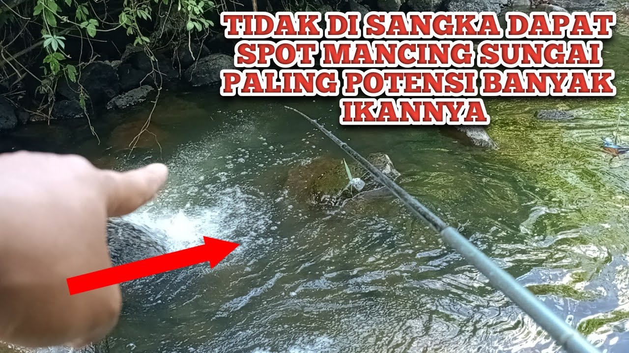 TIDAK DI SANGKA MENDAPATKAN SPOT MANCING SUNGAI KECIL PALING GACOR❗ INILAH SPOT MANCING PALING GACOR