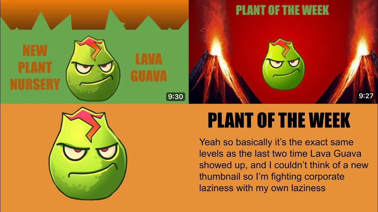 2026 Plant of the Week: Lava Guava