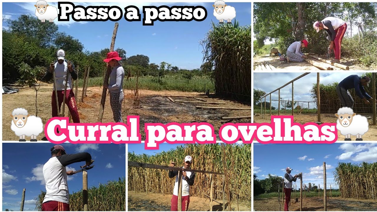 COMO FAZER UM CURRAL PARA OVELHAS? passo a passo 🐑 Parte 1🐑