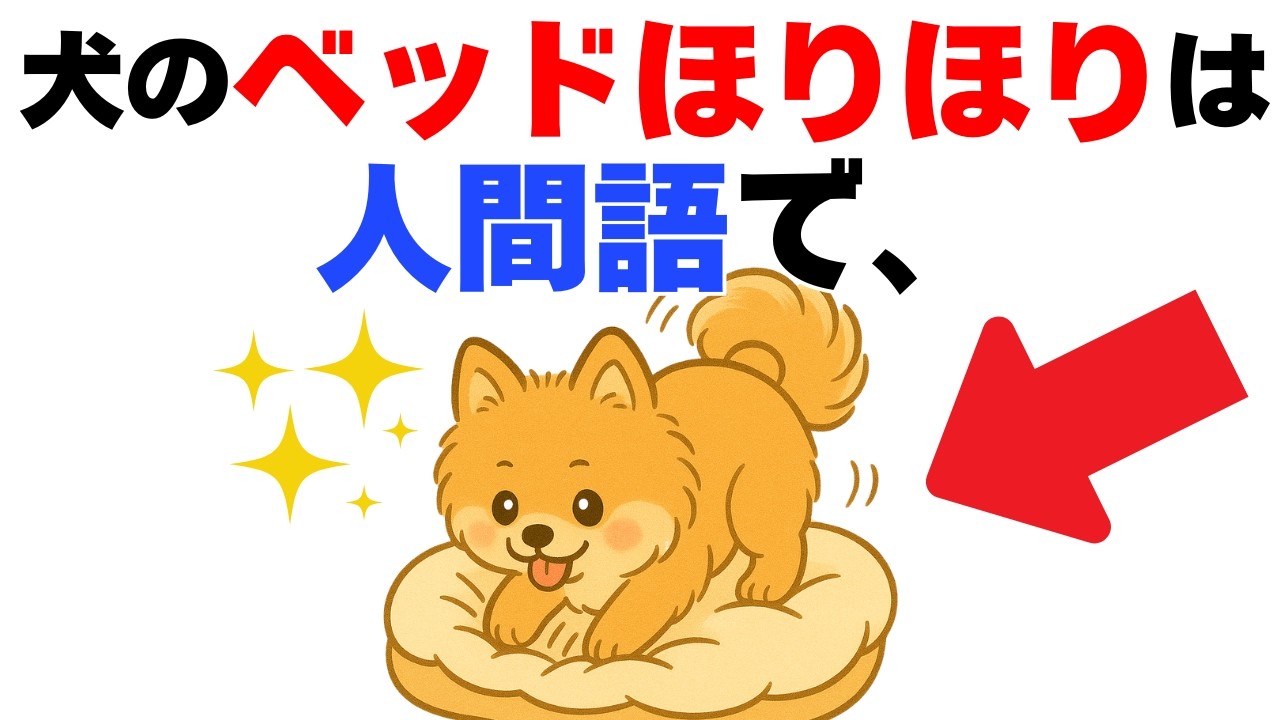 【気付いて!!】わんこのあるある行動を人間語に翻訳すると…６選｜犬の厳選雑学