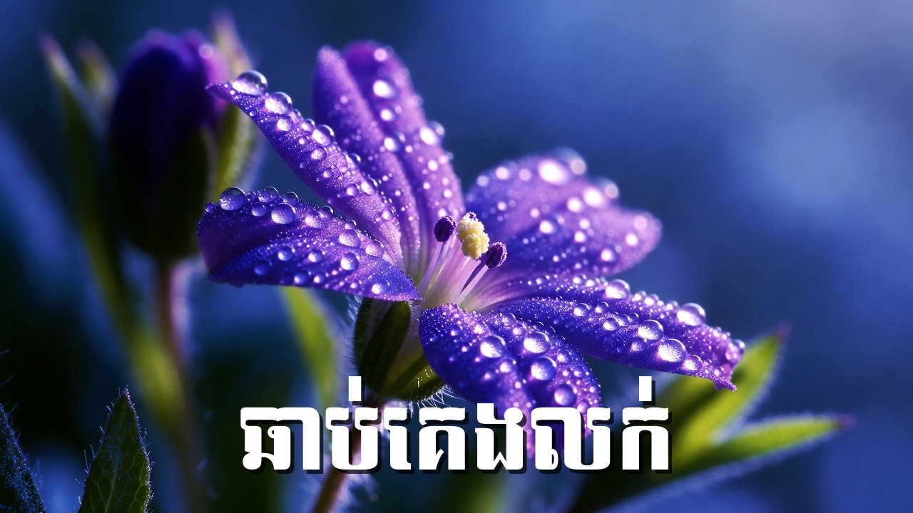 ដេកលក់ស្រួលក្នុងរយៈពេល 5 នាទី • ឈប់គិតច្រើន អោយខួរក្បាលសម្រាក (គ្មានការផ្សាយពាណិជ្ជកម្ម)
