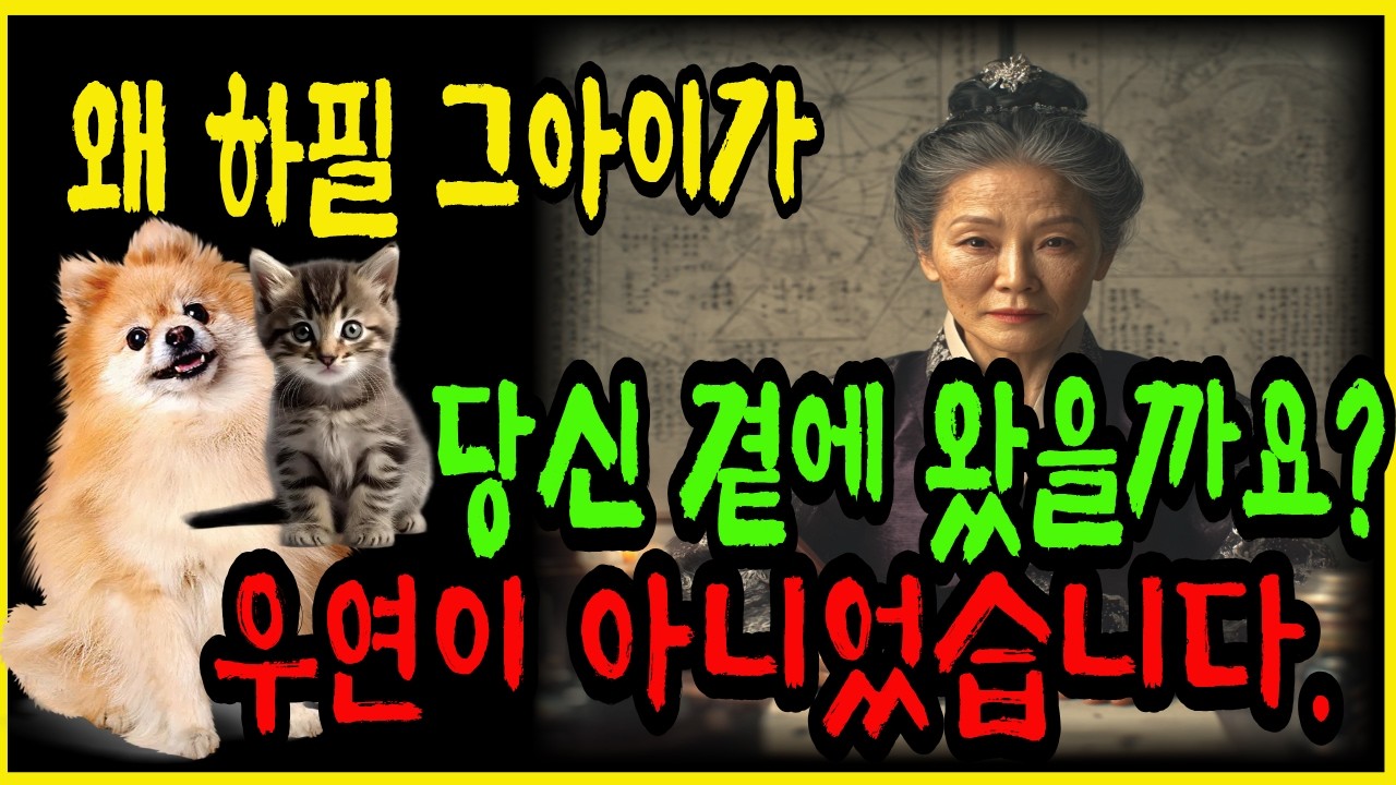 왜 하필 그 아이가 당신 곁에 왔을까요? | 우연이 아니었습니다 | 반려동물 전생 인연 | 자미부인