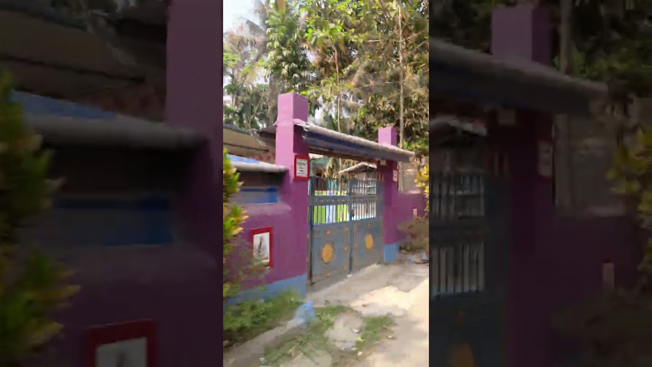 গোবরডাঙ্গা মেদিয়া শীতলা মন্দিরে আমার মাসে বাড়ি সেখানে আজকে গৃহ প্রবেশ মাসি বাড়ি #videoshort 