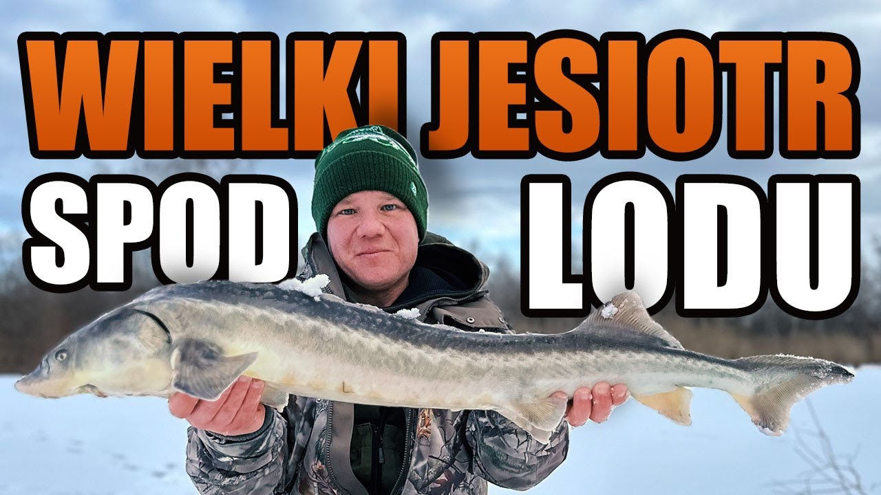 ❄️Wielki Jesiotr Spod Lodu ❄️ Czy Zmieści Się w Przeręblu?