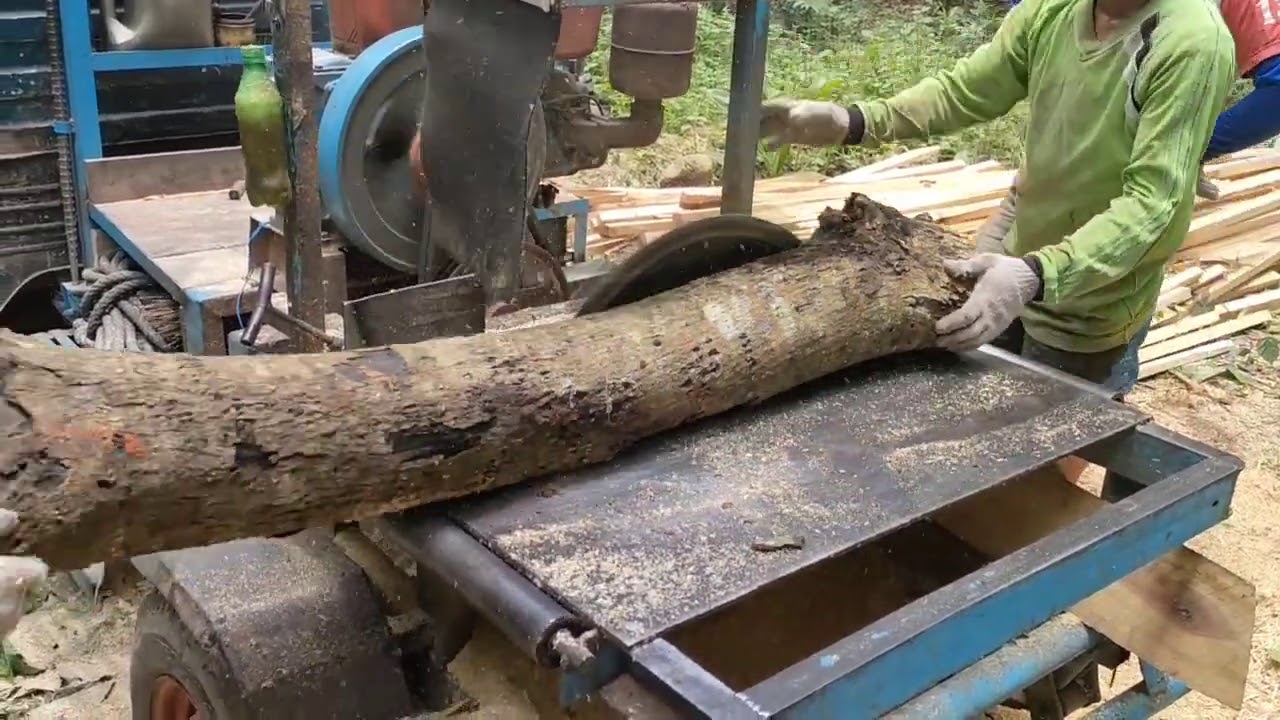 pengrajangan yg sempurna dengan mesin gergaji serkel kayu waru buat reng untuk bahan bangunan rumah
