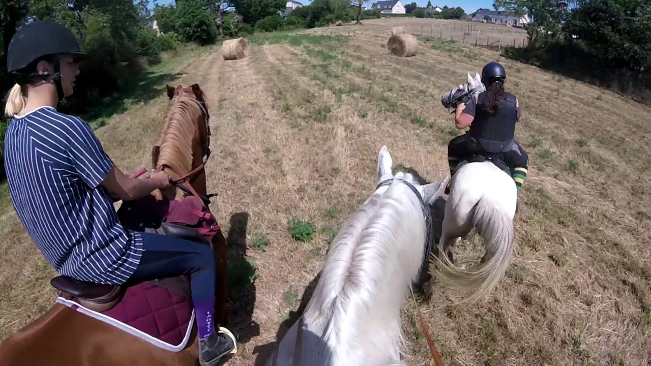 Rallye équestre de Saint-Denis-d'Anjou