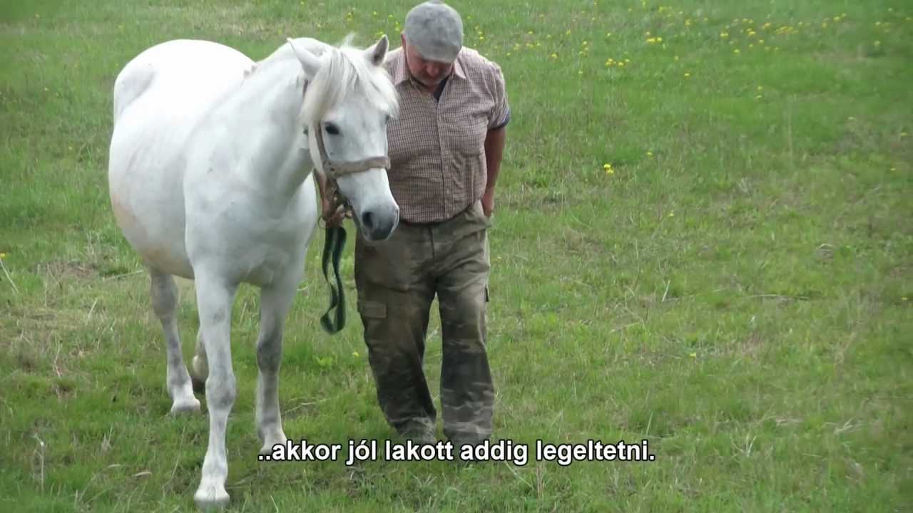 Hol jó? - Az alföldi tanyavilág