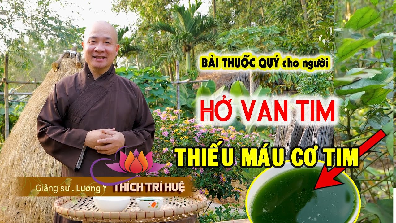 Bài thuốc dân gian TRỊ HỞ VAN TIM, THIẾU MÁU CƠ TIM Hiệu Quả/ Heart Valve Disorders. Chùa Pháp Tạng