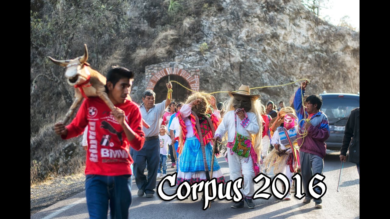 Viejos de Corpus de Temascalcingo 2016 | San Pedro el Alto