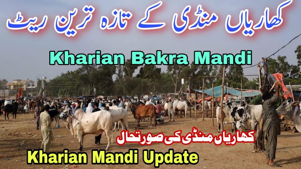 Kharian Mandi Latest Update | Kharian Mandi Update | Kharian Mandi Latest Rates | Open Farming