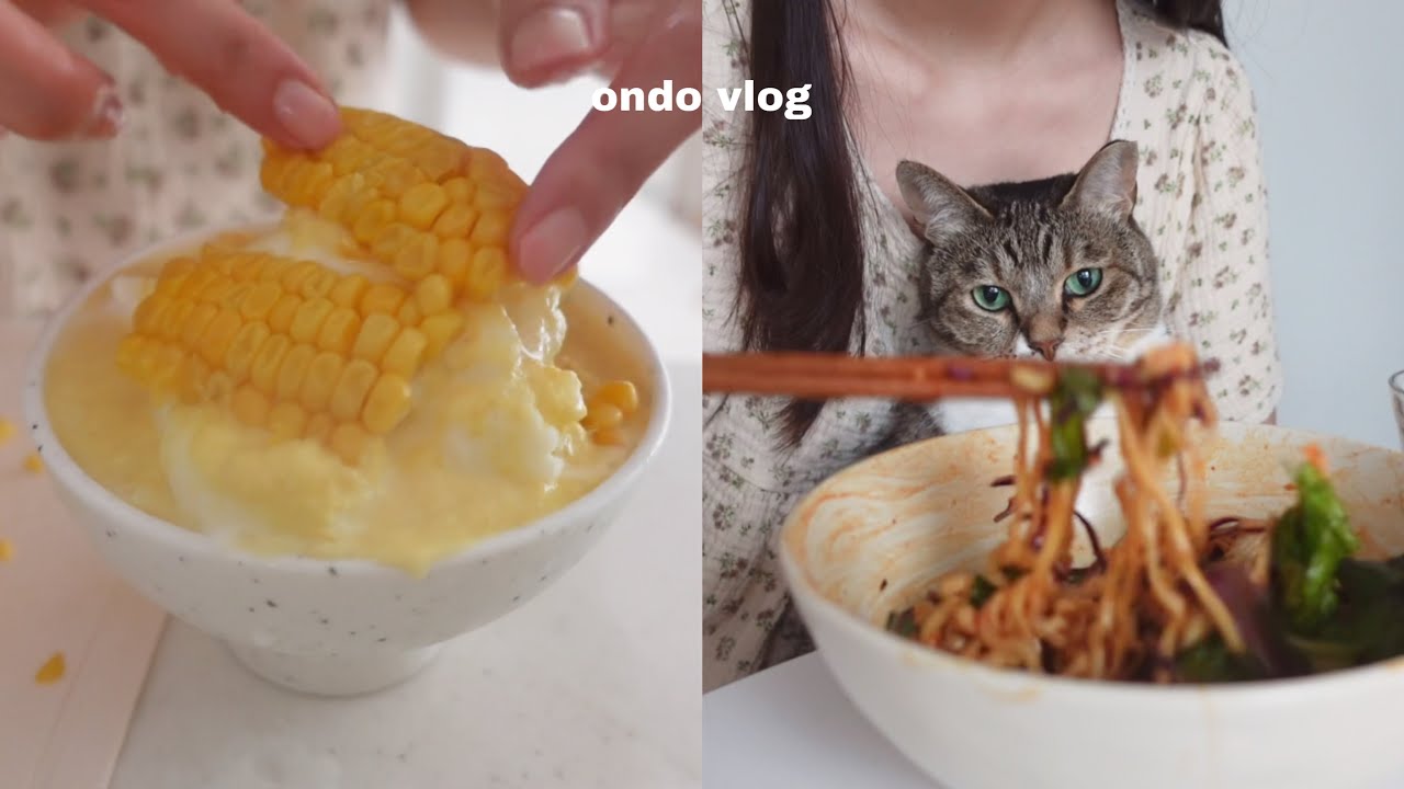 ENG)여름에 만들어 먹기 좋은 면 요리,초당옥시시 빙수 만들기 도전!,오랜만에 연남동 나들이한 일상