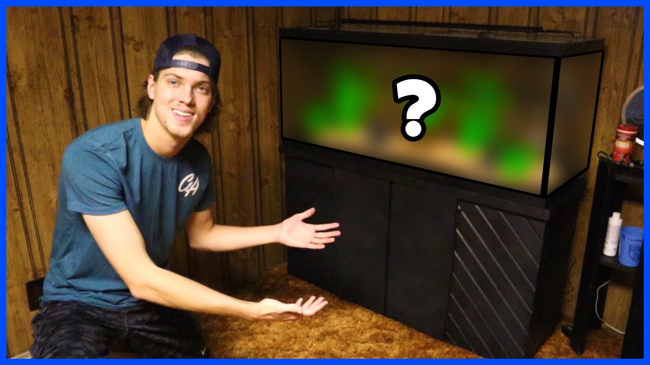 Buying A New 75 Gallon AQUARIUM!