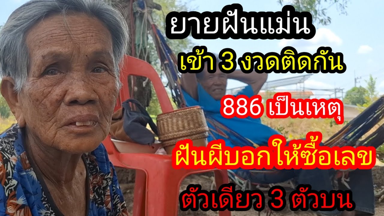 ยายฝันแม่นผีหอบอกให้ซื้อเลข 3 ตัวบนหางเดียว