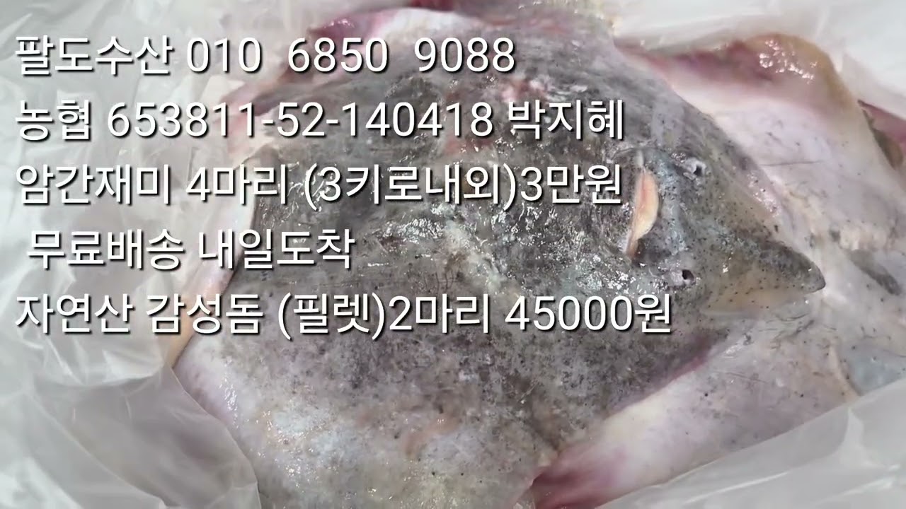 암간재미 4마리 (3키로내외) 3만원 무료배송   간재미가 싸네요