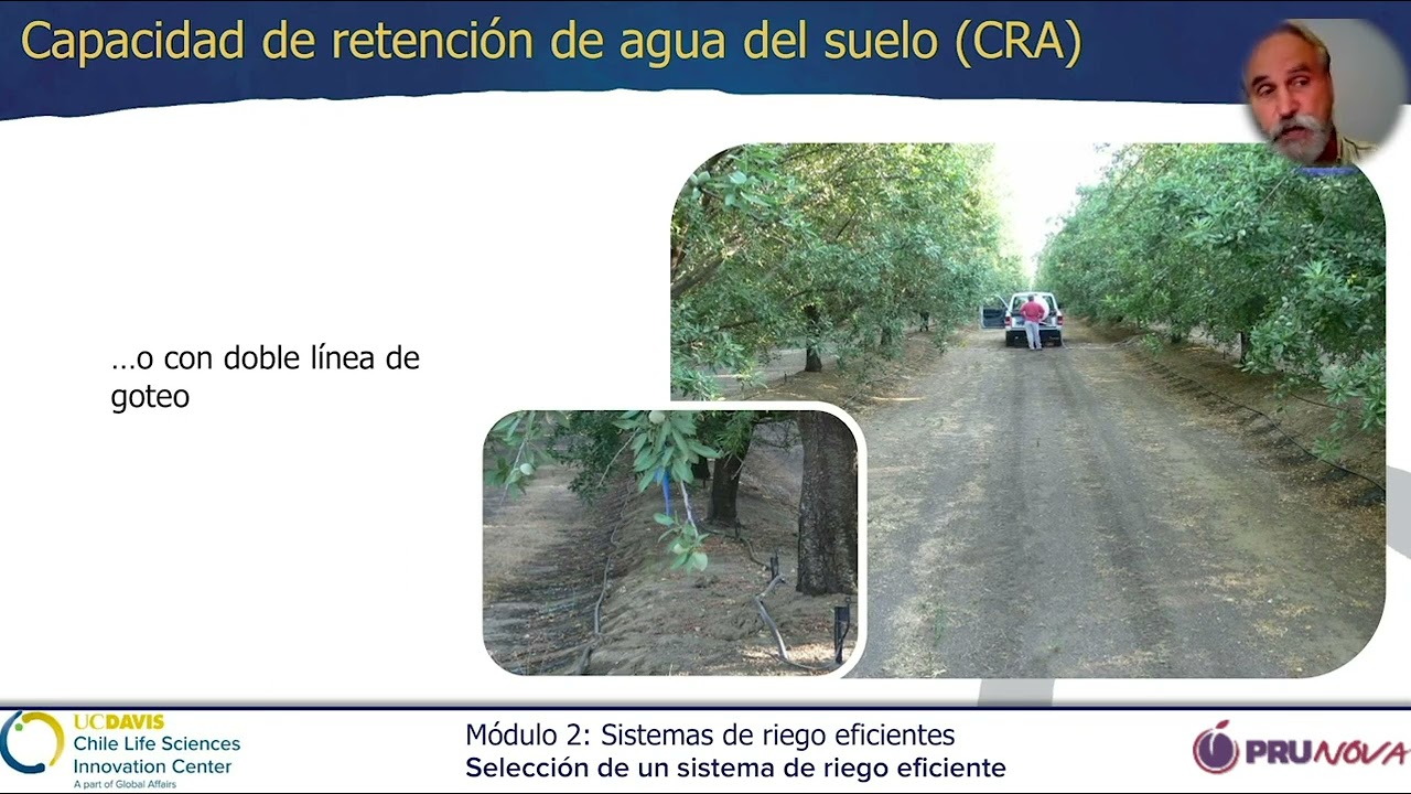 Selección de los sistemas de riego eficientes