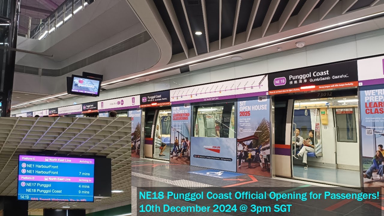 Punggol Coast Official Opening! - Joyride on ALL NEL Train Models & Trainspotting Session