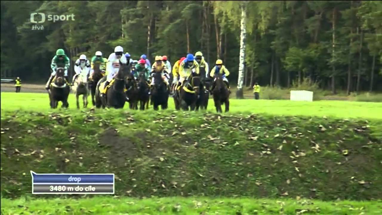 Velka Pardubice 2012 - Orphee des Blins wins