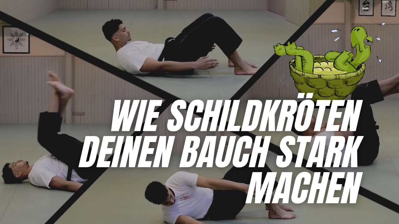 Wie Schildkröten deine Bauchmuskeln stärken
