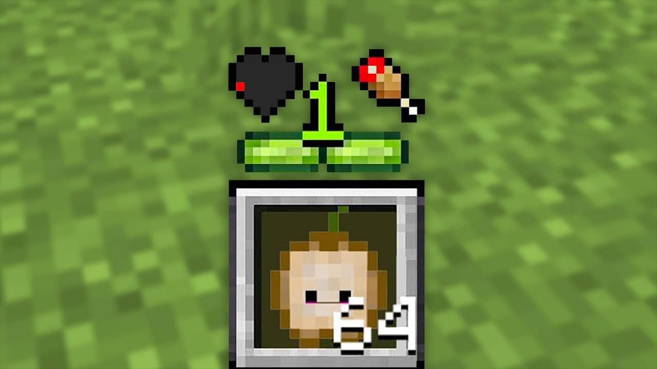 EAMR VS MİNECRAFT