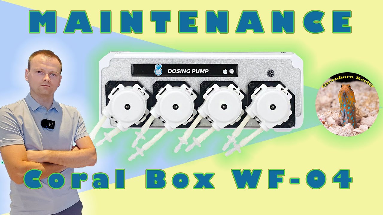 Maintenance Coral Box Wf-04 | Jak Wymienic Głowice? | Przedłużam życie pompie dozującej