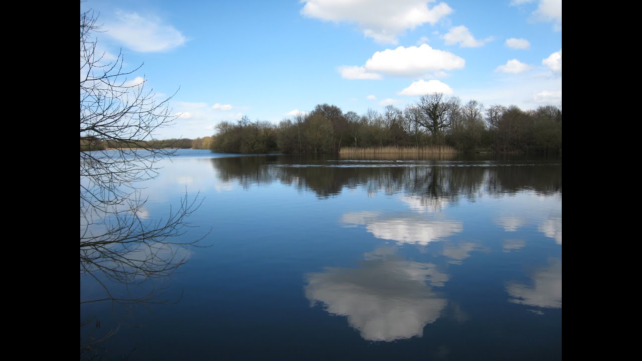 DintonPastures January 2026