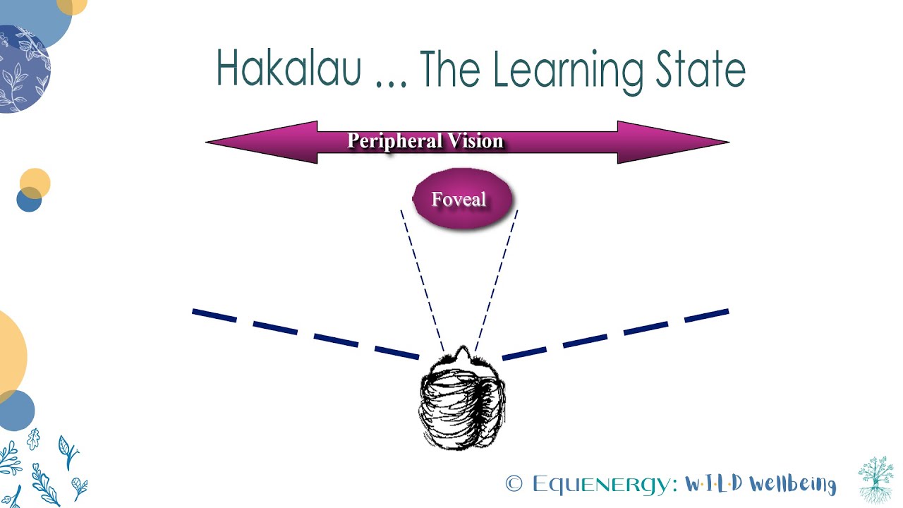 Learning State - The Hakalau