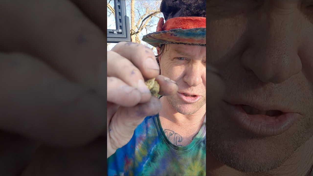 nug jar opened on my phatmoto ride from VA to FL