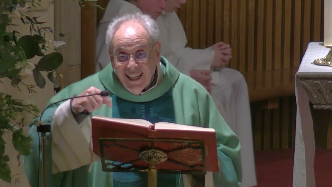 Homilía D. Javier (V Domingo del T. O.)