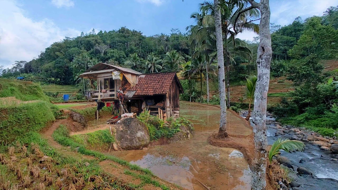 Pasutri Pemberani.. Seumur Hidup Tinggal Berdua Di Rumah Pinggir Sungai Di Kelillingi Hutan