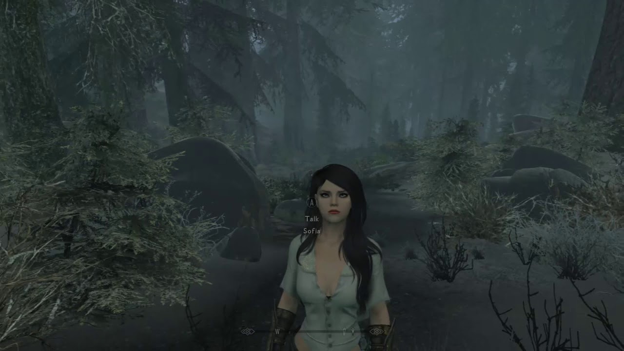 Skyrim Mod Load Order February 2021 Load Order in the Description