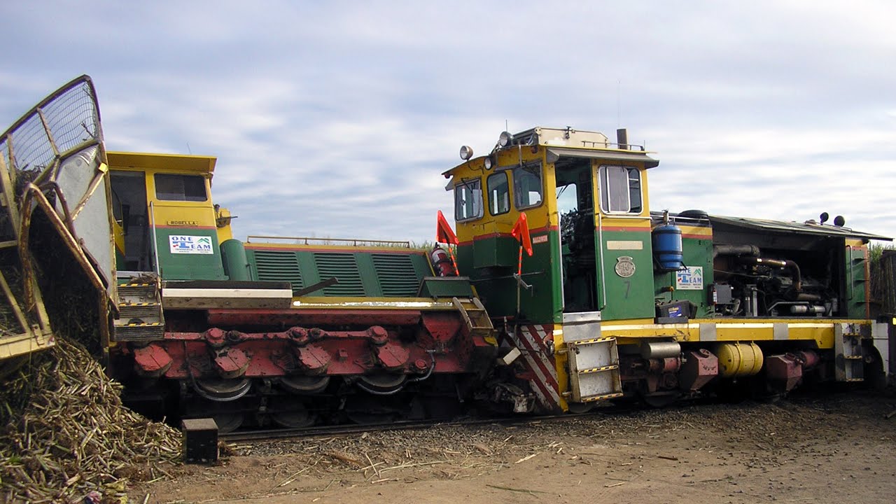 Mishaps and mayhem on the narrow gauge :Cane railways