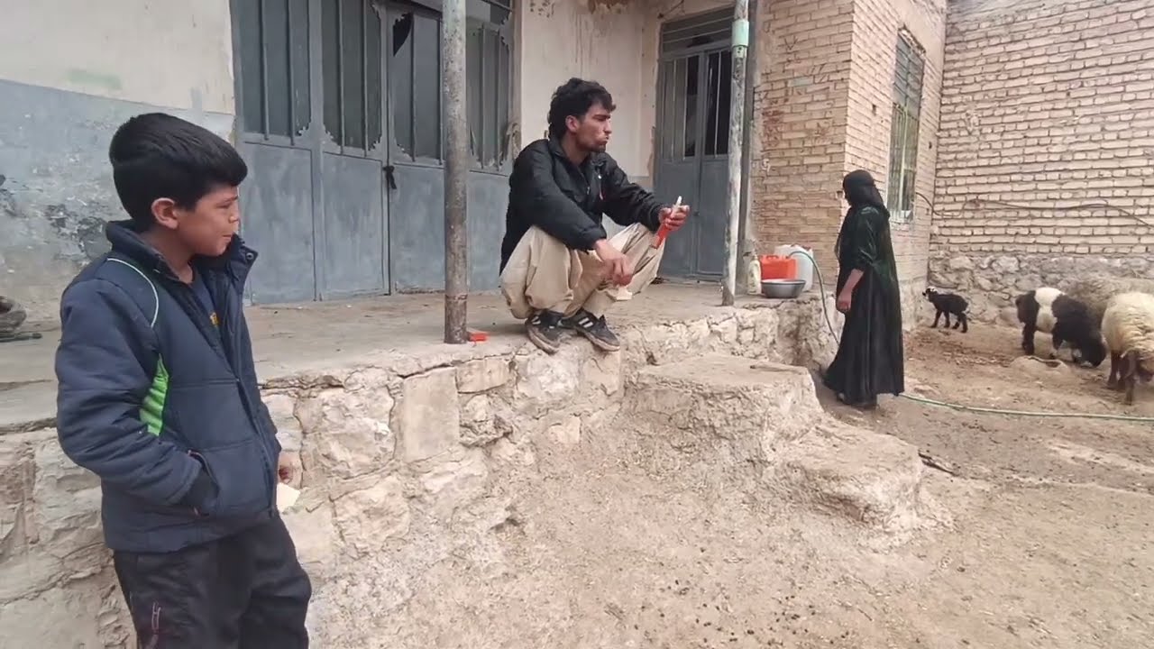 Jamshid, with the help of Saeed, went to find Tayyiba's children.
